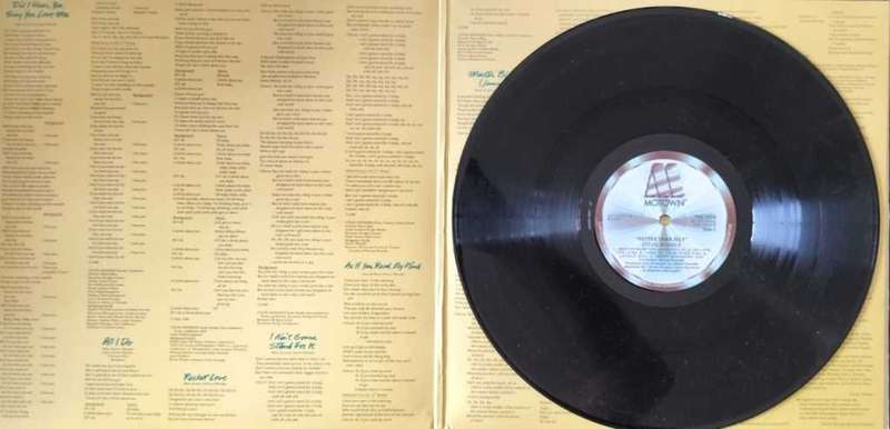 Stevie Wonder - Hotter Than July (Vintage Vinyl / LP / Record)