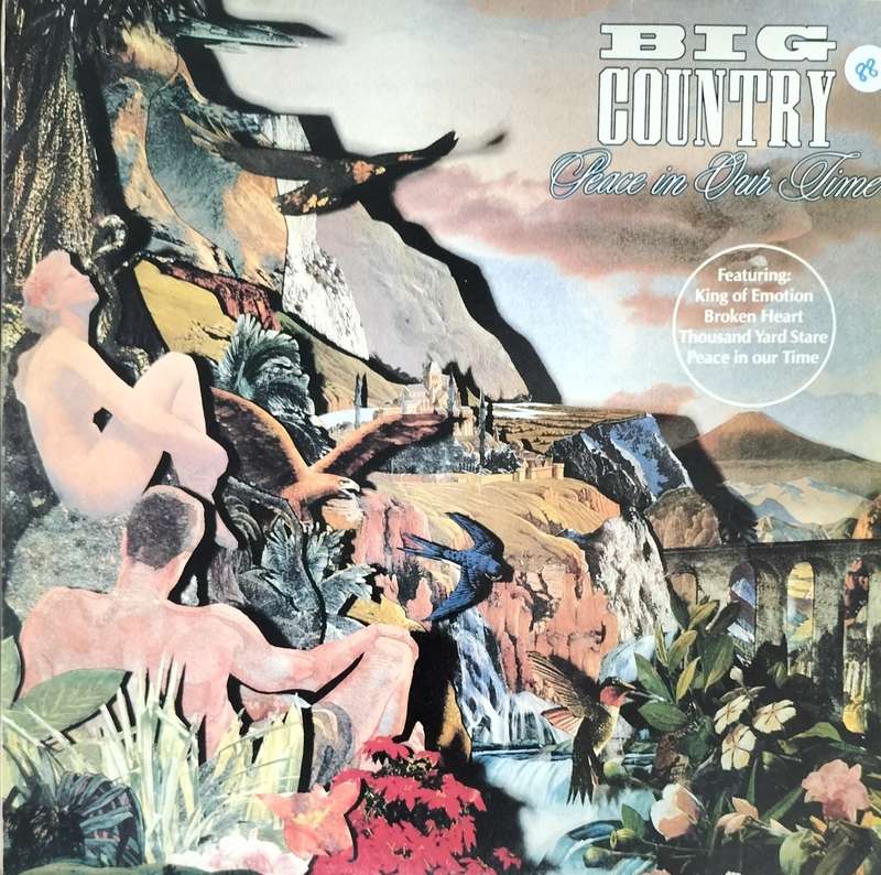 Big Country + Peace in our time (Vintage Vinyl / LP / Record)