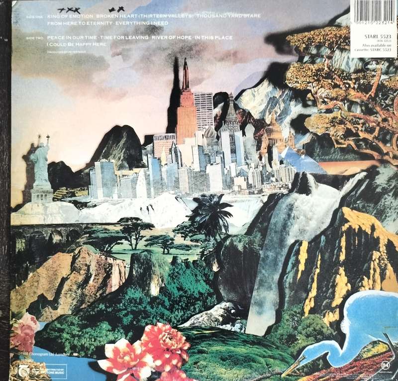 Big Country + Peace in our time (Vintage Vinyl / LP / Record)
