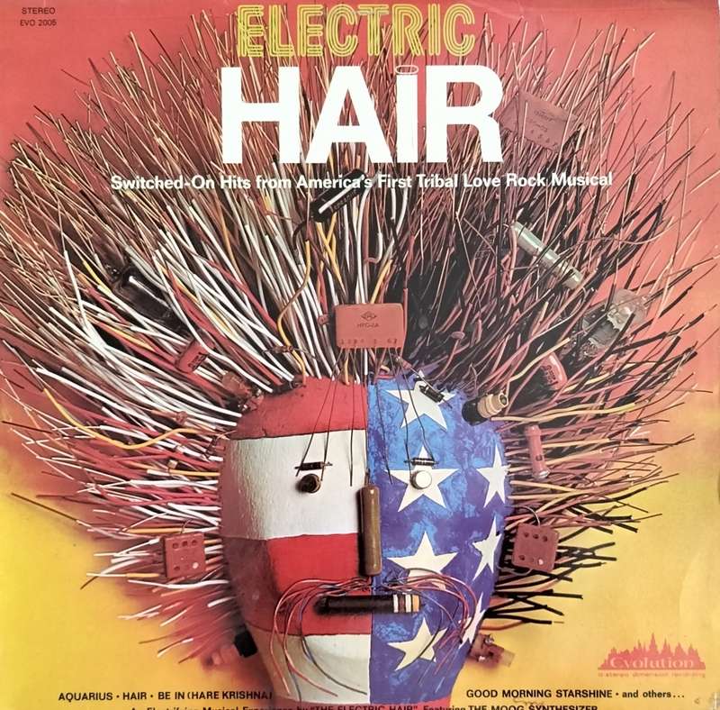 Electric hair (Vintage Vinyl / LP / Record)