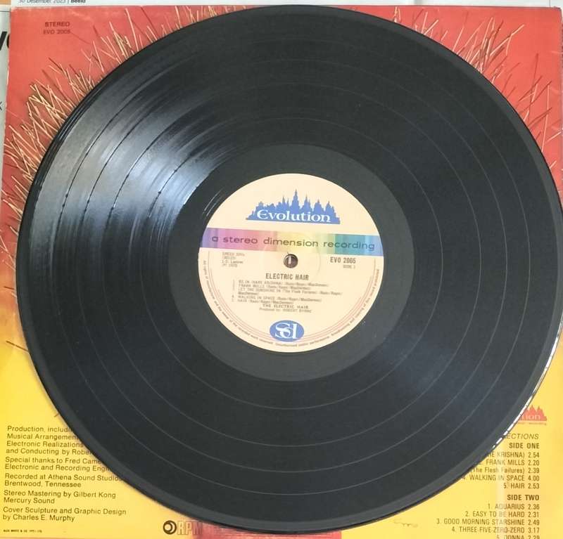 Electric hair (Vintage Vinyl / LP / Record)