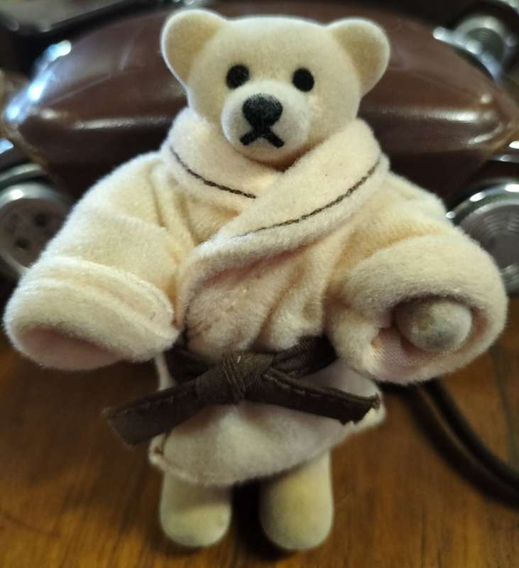 Vintage McDonalds 1999 bear with label - Bathing Boy - Brian
