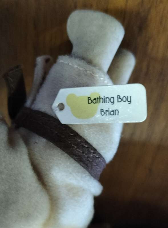Vintage McDonalds 1999 bear with label - Bathing Boy - Brian
