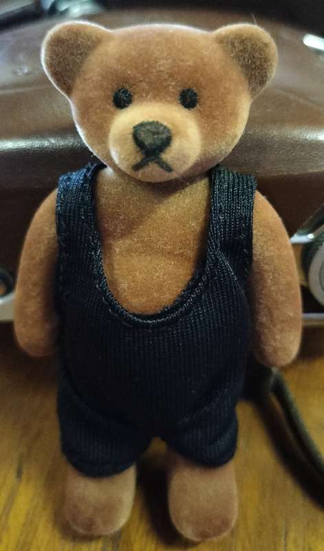 Vintage McDonalds 1999 bear with label - Beach Boy - Bob