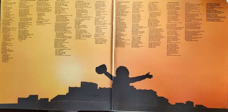 Janis Ian - Miracle Row (Vintage Vinyl / LP / Record)