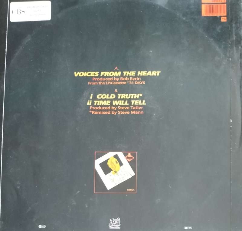 Vintage LP / Record / Vinyl - Shogun - Voices from the heart