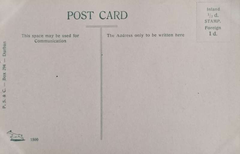 Vintage post card - South Africa - Ingogo station with Majuba mountains