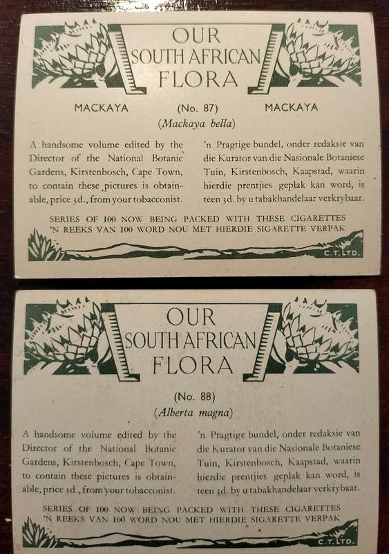 South African Flora - Incomplete set of Cigarette Cards (x79)