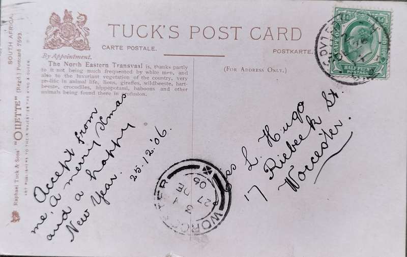 Vintage post card - South Africa - Northern Transvaal postcard/painting 1906