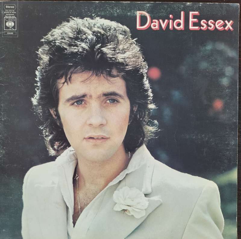 Vintage Vinyl / LP / Record - David Essex