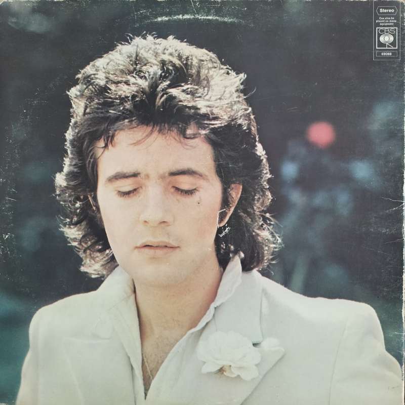 Vintage Vinyl / LP / Record - David Essex
