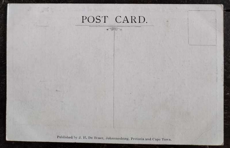 Vintage unused post card - Johannesburg - Demand for the internment of Germans 1915