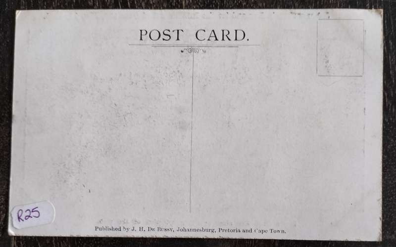 Vintage unused post card - Johannesburg - Demand for the internment of Germans 1915