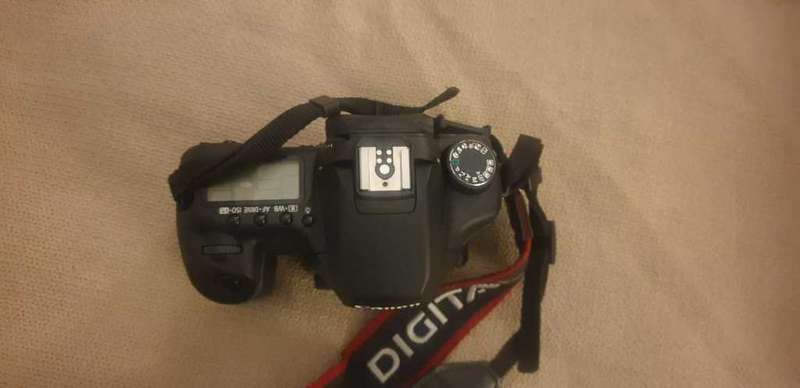 Canon EOS 40D 10.1MP Digital SLR Camera (Body Only)
