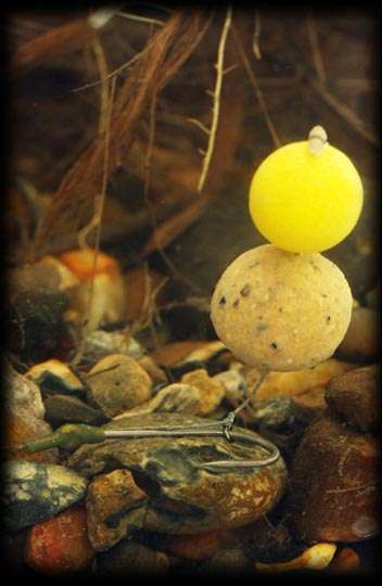 READY MADE RIGS -BLOWBACK RIG SPECIMEN CARP
