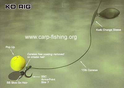 READY MADE RIGS - KD SPECIMEN CARP RIG