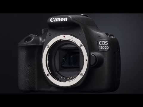 Canon 1200D with 70-300mm Sigma lens. Excellent Condition.