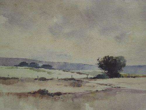 RICHARD RENNIE SIZE; 28cm x 22cm