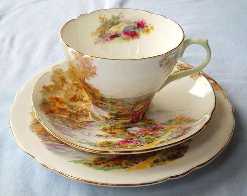 TRIO PORCELAIN SHELLY DESIGN; HEATHER. MEDUIM CUP SIZE