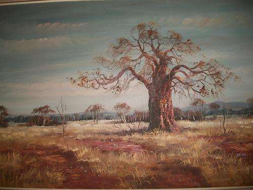 BEAUTIFUL BAOBAB TREE OIL PAINTING ON BOARD, FRAMED. SIZE; 105CM X 76CM
