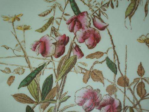 2 X BEAUTIFUL HAND PAINTED PLATES. SIZE 22CM. COL. ANTIQUE  WHITE
