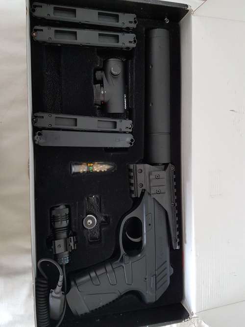 Gamo p25