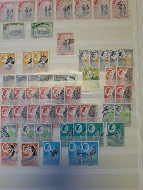6.5 Basutoland - Bechuanaland - Swaziland - BSAC - High Catalogue Value - Final reduced price