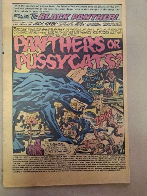 Black Panther - 6