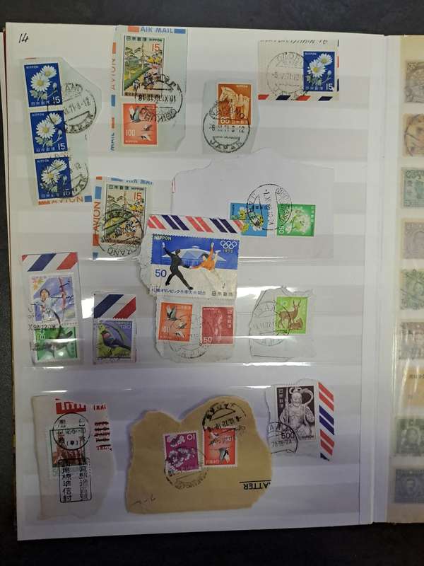 Asian Collection - Final reduced price