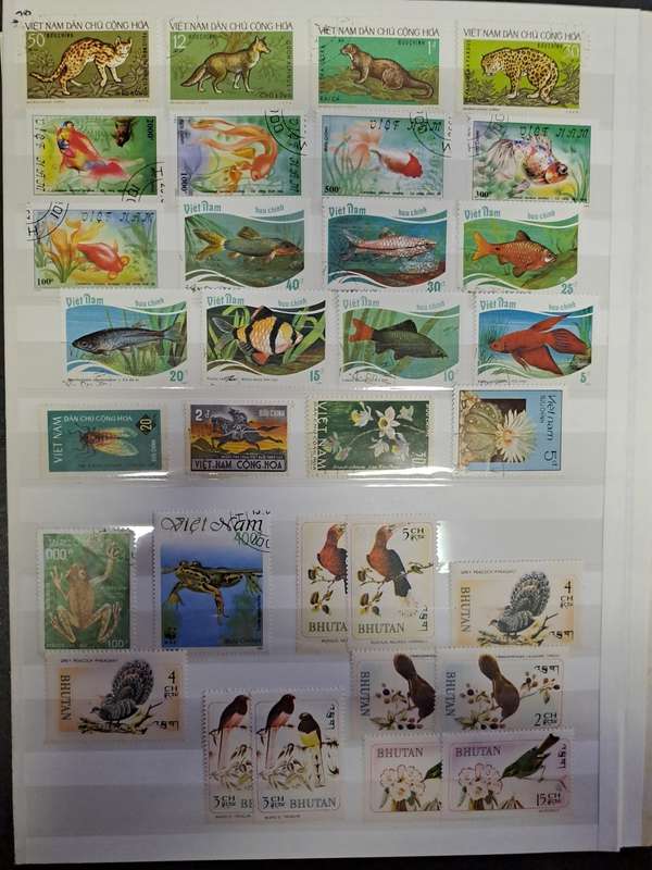 Asian Collection - Final reduced price