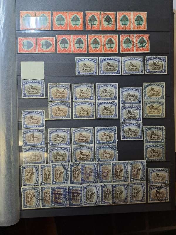 4.1 Union Collection - Final reduced price