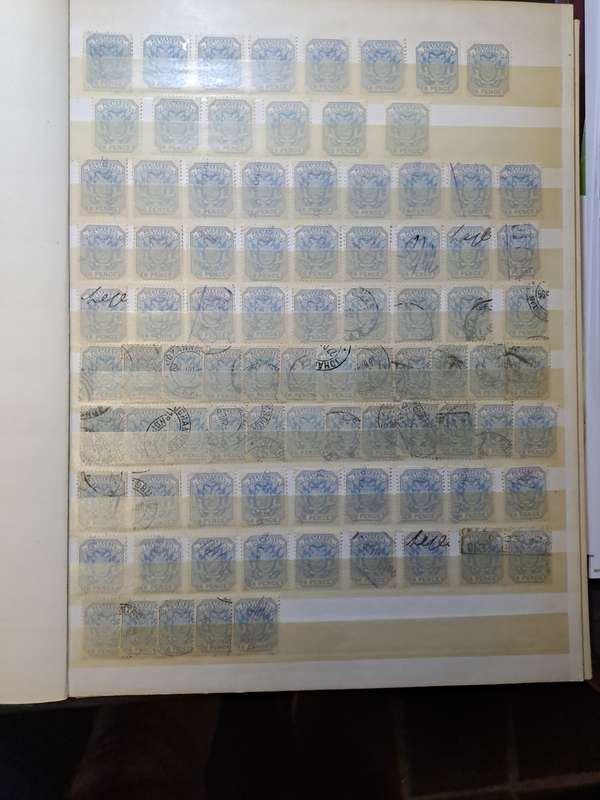 3.1 Transvaal collection - Final reduced price