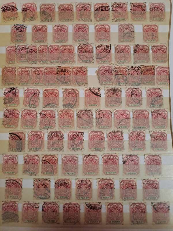 3.1 Transvaal collection - Final reduced price