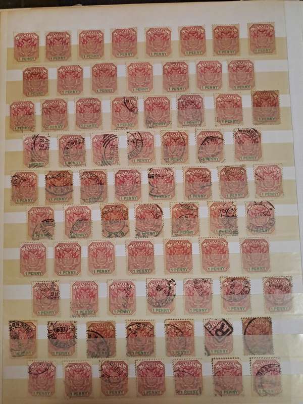 3.1 Transvaal collection - Final reduced price