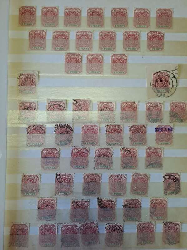3.1 Transvaal collection - Final reduced price