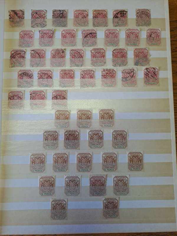 3.1 Transvaal collection - Final reduced price