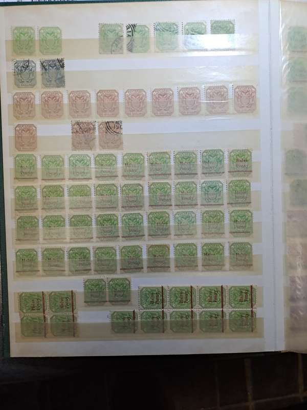 3.1 Transvaal collection - Final reduced price