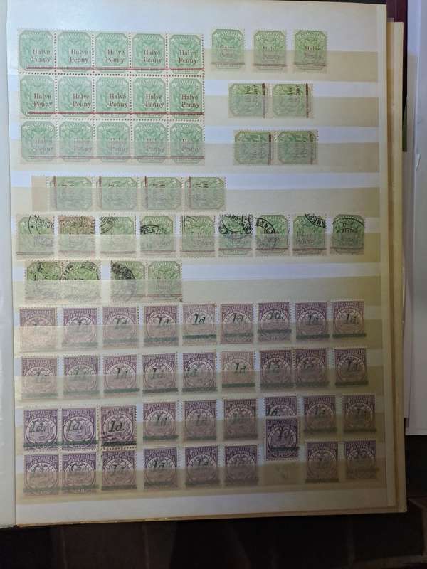 3.1 Transvaal collection - Final reduced price