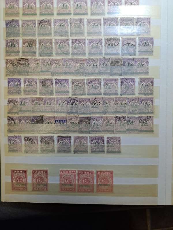 3.1 Transvaal collection - Final reduced price