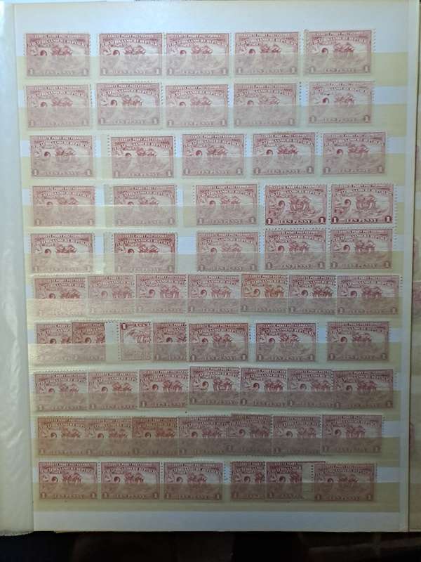 3.1 Transvaal collection - Final reduced price