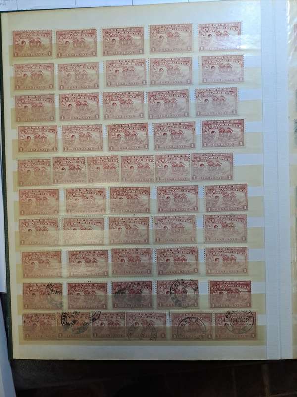 3.1 Transvaal collection - Final reduced price