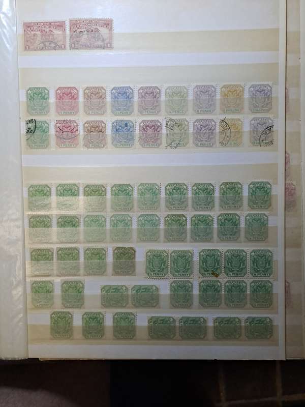 3.1 Transvaal collection - Final reduced price