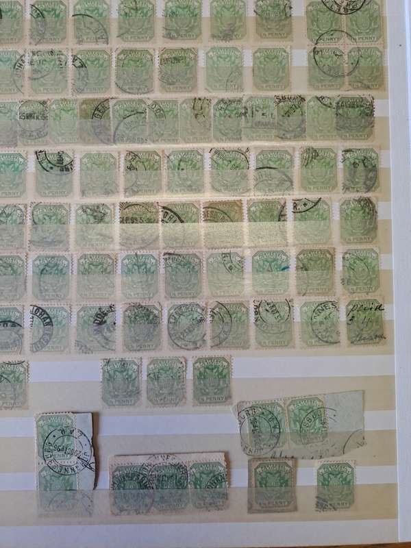3.1 Transvaal collection - Final reduced price