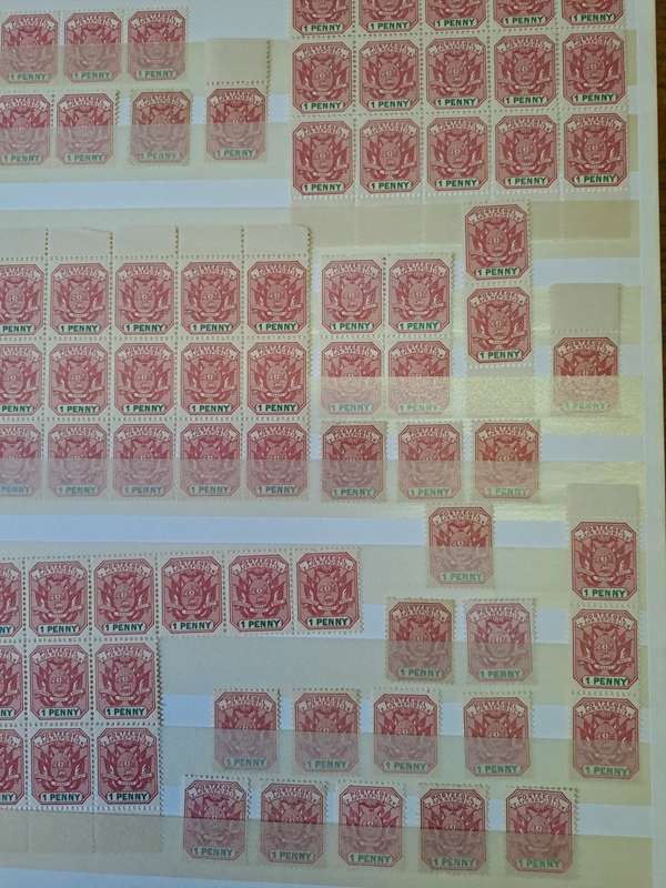 3.1 Transvaal collection - Final reduced price