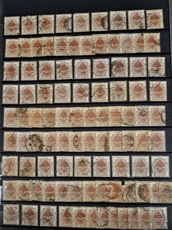 2.1 Cape of Good Hope and Transvaal Collection - Final price reduction