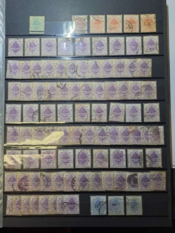 2.1 Cape of Good Hope and Transvaal Collection - Final price reduction