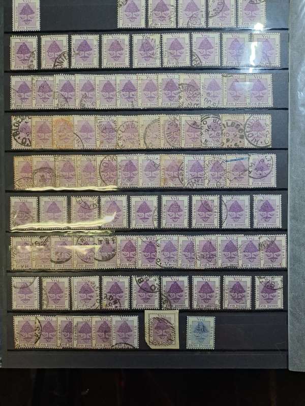 2.1 Cape of Good Hope and Transvaal Collection - Final price reduction