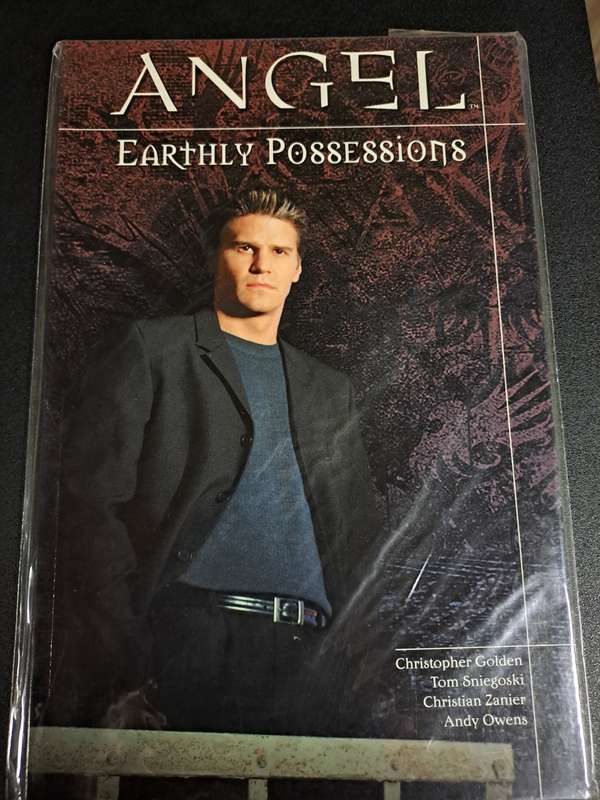 Angel - Graphic Novel - Reduced price
