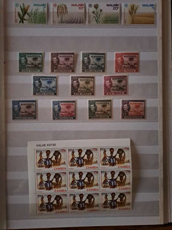 Mint Collection - BCW - Final Reduced price