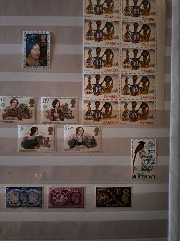 Mint Collection - BCW - Final Reduced price